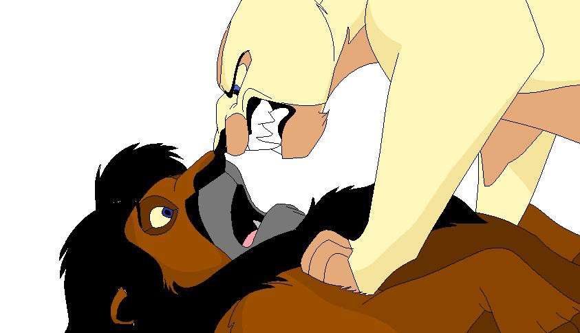 Zeket and Venly meet