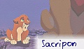 apple-sacrip's