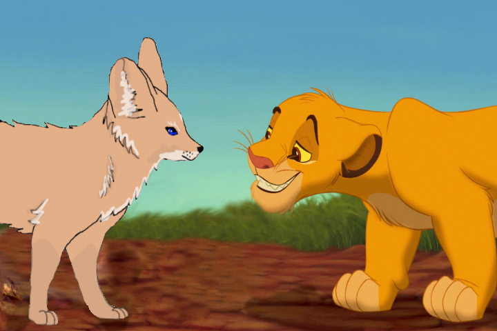First Meeting