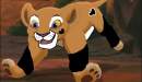 Gina Kimba and Anderz cub