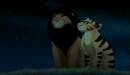 random liger and lion