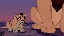 Kopa and Kota
