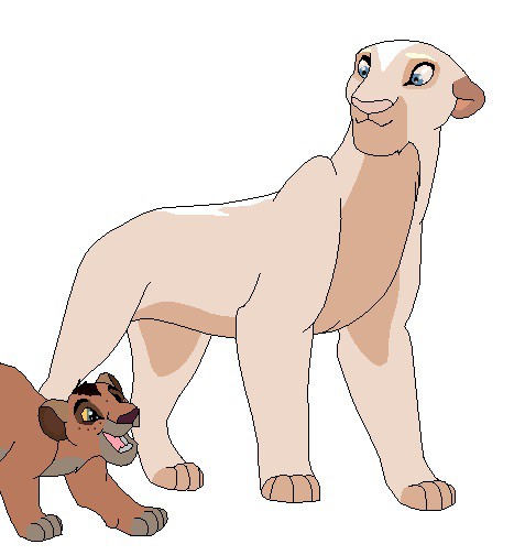 Haley and Kota