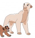 Haley and Kota