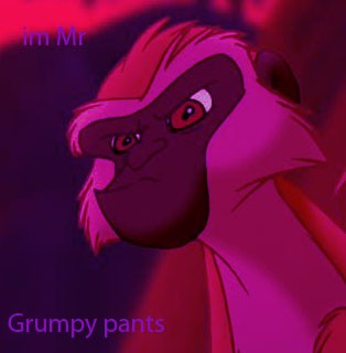 Mr Grumpy pants