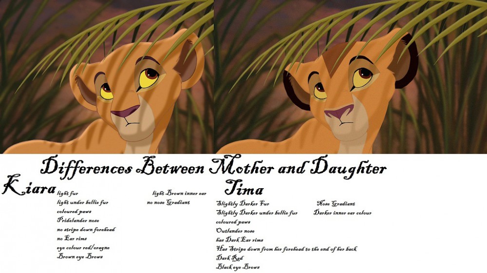 Differences Between Kiara and Tima