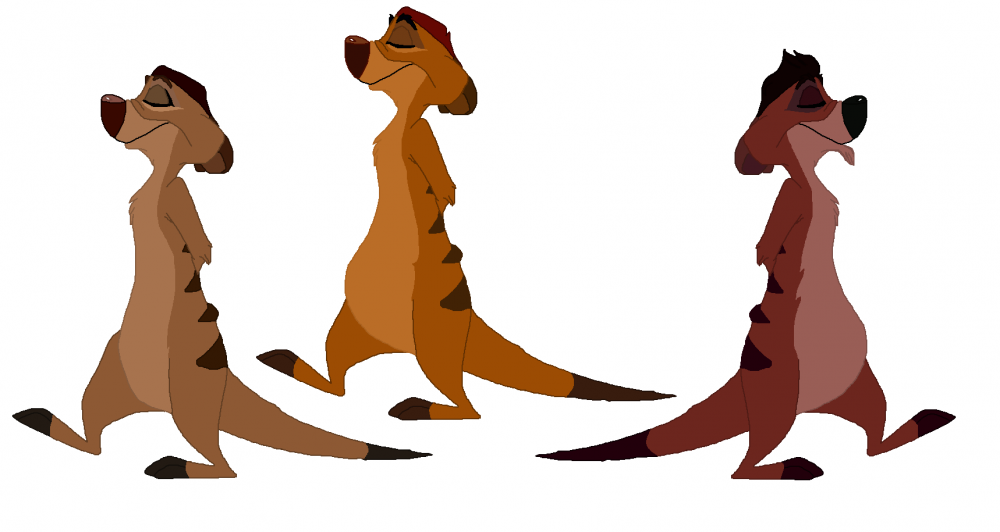 As Meerkats
