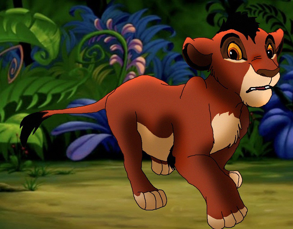Katona cub