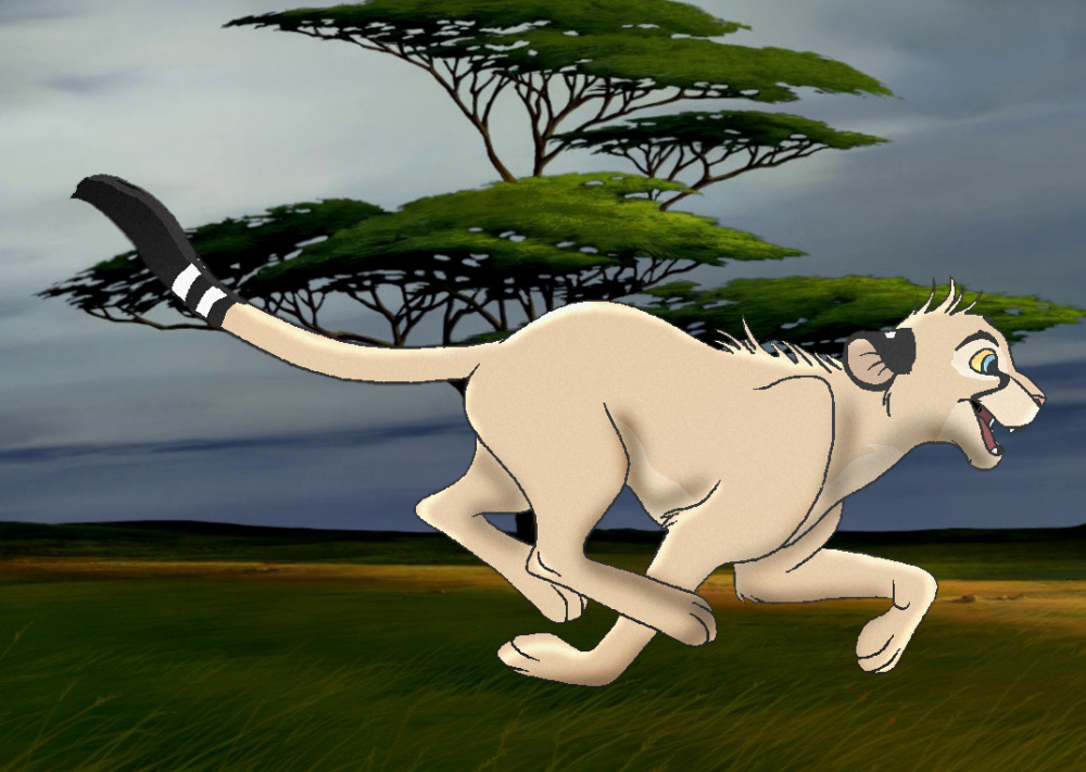 Jeremy as a cheetah
