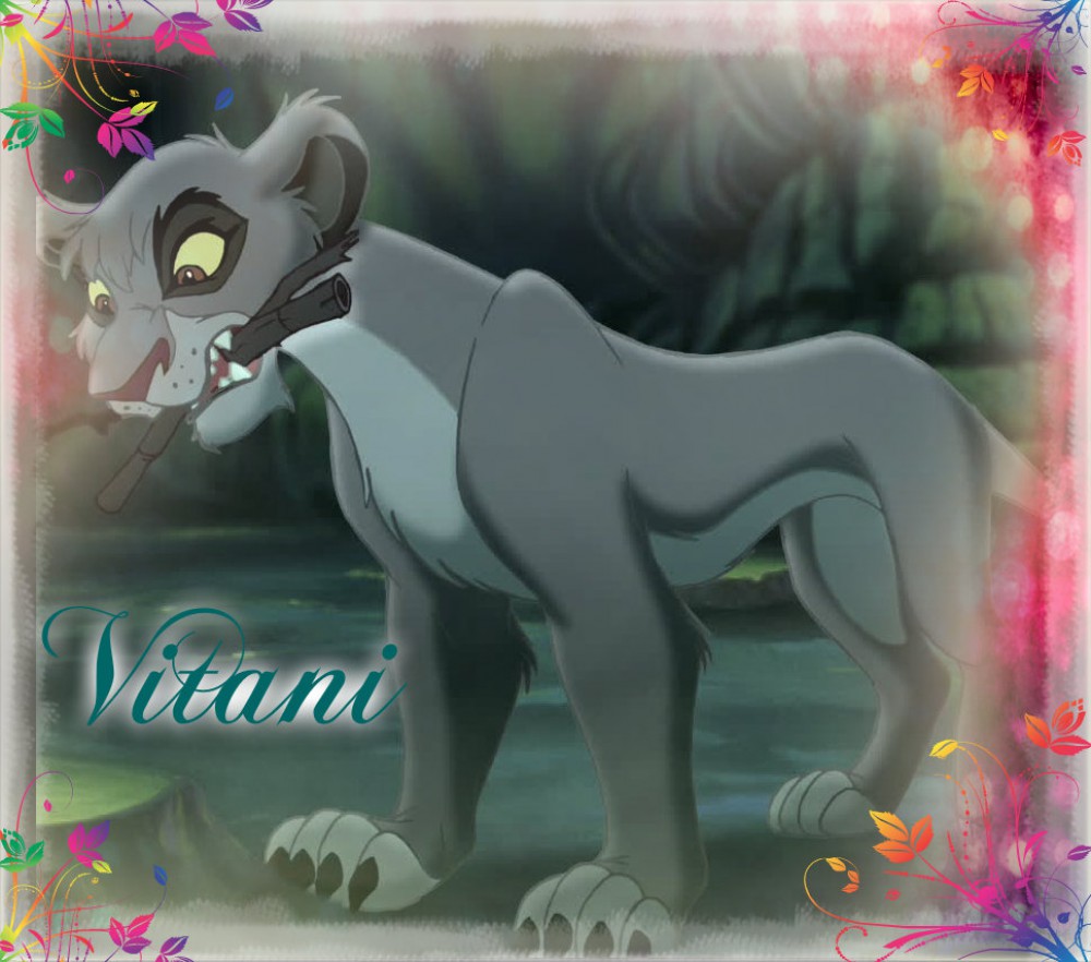 Vitani again