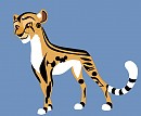 Denahi's new Design
