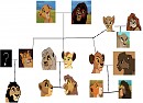 Family Tree