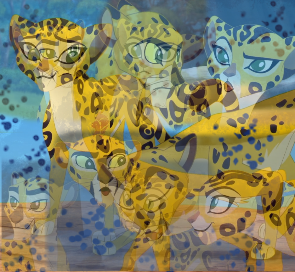 Cheetah's