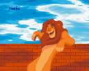 simba