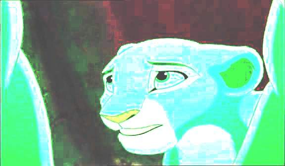 I didin´t know,which tittle I can use...