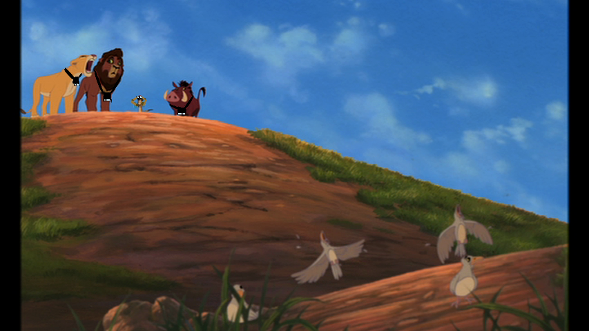 Birdwatching