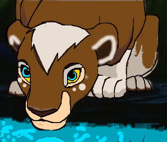 A strange lioness