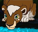 A strange lioness