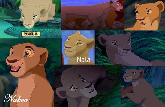 Montage de Nala