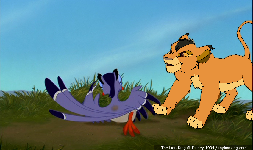 Malka playing with Zazu
