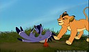 Malka playing with Zazu