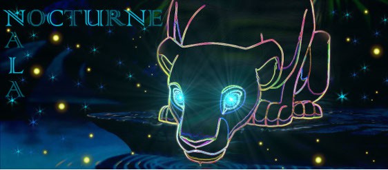Nocturne