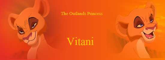 The Outlands Princess Banner
