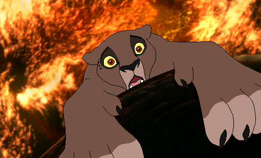 Fire