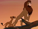 Like Father Like Daughter