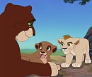 Shasta and Cubs