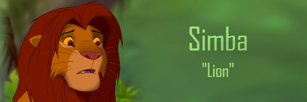 Simba Banner