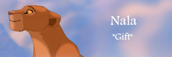 Nala Banner