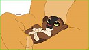 Zemia Cub