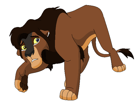 Adult Asani
