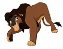 Adult Asani