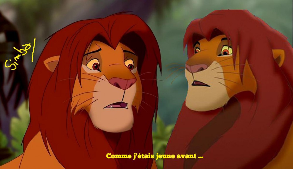 Simba jeune et vieux ...