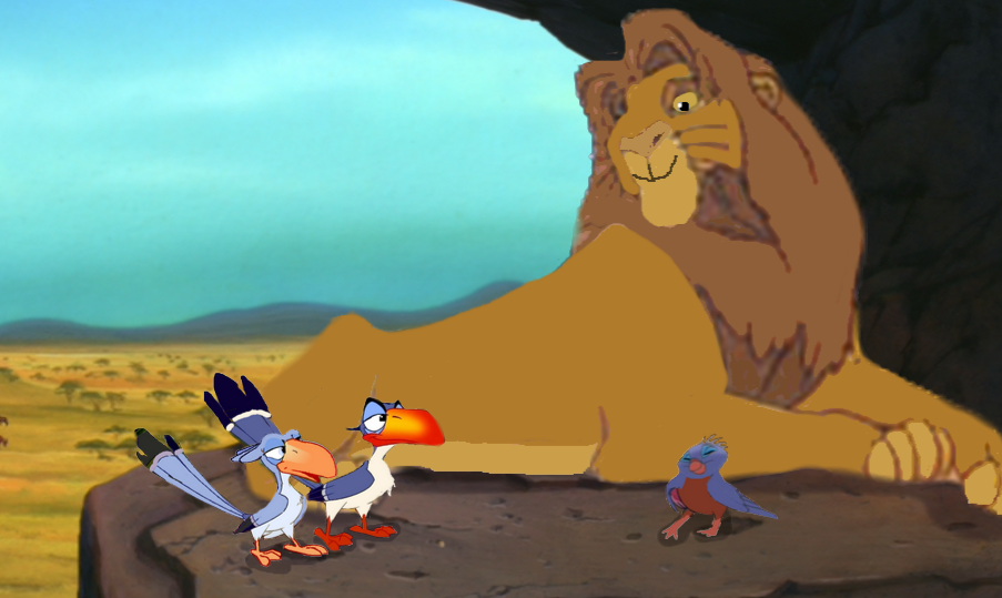 Tojo et ses amis les oiseaux !