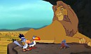 Tojo et ses amis les oiseaux !