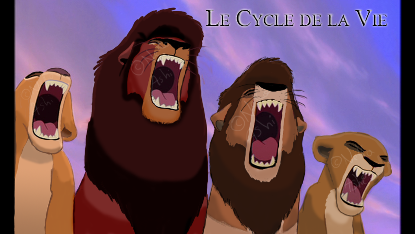 Le Cycle de la Vie