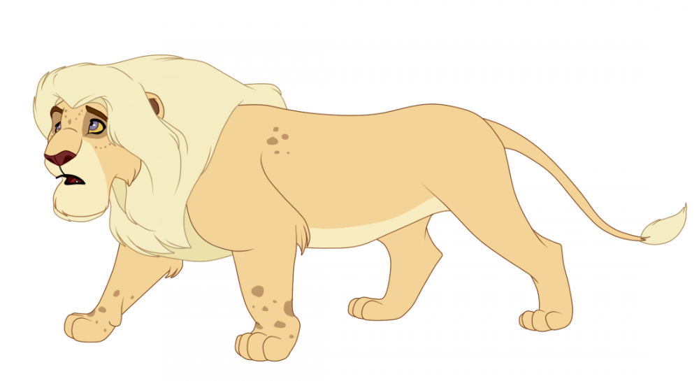 Adoptable Male Lion