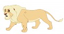 Adoptable Male Lion
