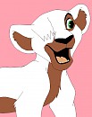 cub nicki