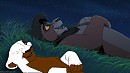 wacthing the stars