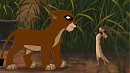 faith and timon