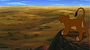 the big view