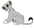 meet kovu and bellah's daughter suri