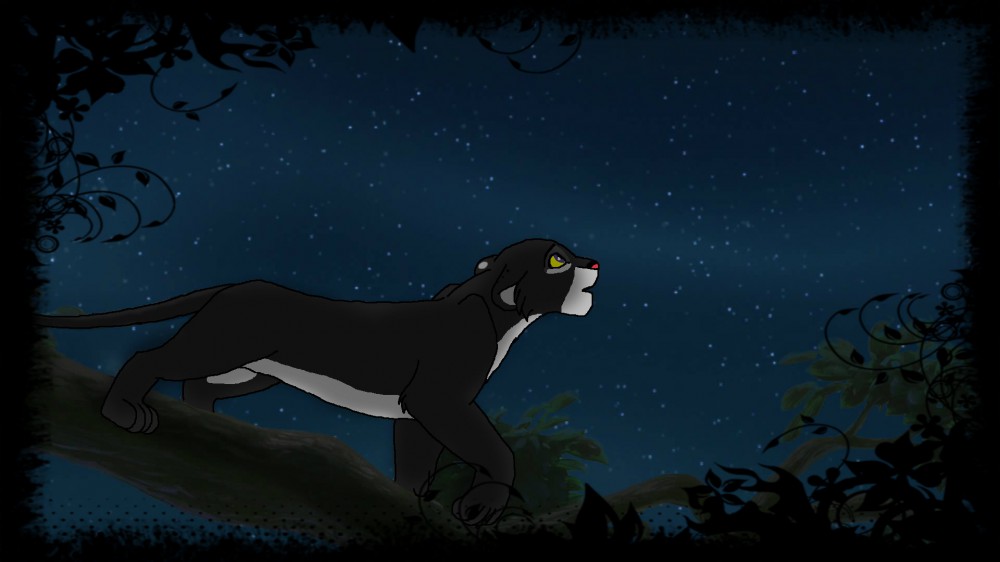 Night Walk