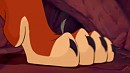 Rowin's foot