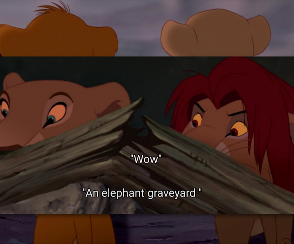 An elephant graveyard 