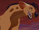 Cora 